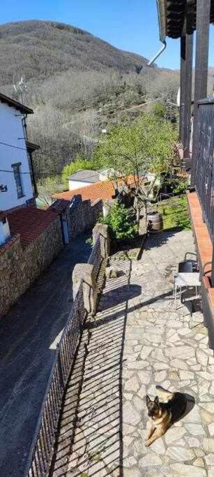 Hostal Montemayor Montemayor del Rio 外观 照片